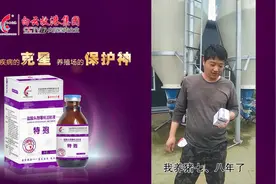 特孢效果视频-猪2.8视频封面