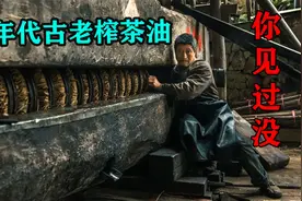 80年代古老机械榨茶油，纯天然的原始榨油过程，你见过没？