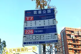 合肥公交226路，还记得以前那个陪你挤公交的人吗？视频封面