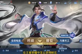 王者荣耀：鲜花怎么获得视频封面