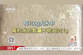 大米出现这种情况就不能再食用了，你家大米有这种情况吗？视频封面