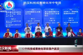 12个科技成果转化项目落户武汉视频封面