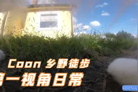 【猫咪第一视角】夏日小憩视频封面