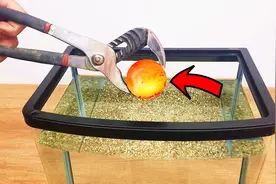 烧红的铁球放入冷水中结果会怎样？慢镜头回放我终于看明白了视频封面