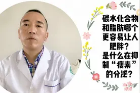 糖和脂肪哪个更容易让人长胖？是什么在抑制“瘦素”的分泌？