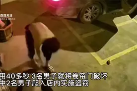 监拍广东一团伙深夜驾车盗窃：用黑色头套蒙面 1分钟内完成作案视频封面