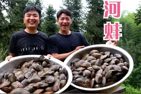 200斤河蚌究竟能剥多少肉？铺上蒜蓉粉丝一锅蒸，味道堪比生蚝