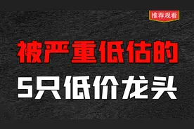 A股被严重低估的5只低价龙头，值得收藏研究视频封面