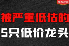 A股被严重低估的5只低价龙头，值得收藏研究视频封面