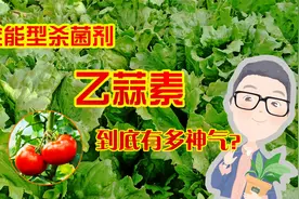 乙蒜素：被称为“全能型”杀菌剂，3分钟带你看看它到底有多神气视频封面