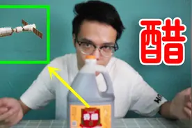 显微镜放大醋2000倍，看到许多活动的微生物，形状像空间站一样视频封面