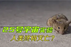 25号宇宙实验，揭示人类的未来，乌托邦还是地狱？视频封面