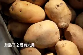 小土豆、大南瓜……应季蔬菜新鲜上市，口感绵密老少皆宜