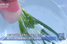 “染色香葱”蓝色物质属“波尔多液”，危害性较低视频封面