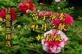 笛子演奏《牡丹之歌》70后是不是太熟悉了清爽欢快让人回味视频封面