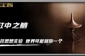世界著名思想实验“缸中之脑”：世界可能只有你一个视频封面