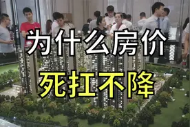 为什么房价死扛不降？几个现实理由很残酷，房产专家全面分析视频封面