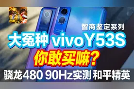 暑假购机大冤种 vivo Y53s 你敢买嘛？开箱体验 震惊我一整年