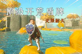 塞尔达传说王国之泪：不惧强敌！顶级海利亚盾搜集+无限耐久指南视频封面
