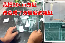 我把20cm方缸改造成了双层底滤组缸，自己切玻璃粘底滤鱼缸视频封面