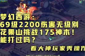 梦幻西游：69级2200伤害无级别花果山挑战175神木！能打过吗？视频封面