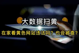 大数据扫黄：在家看黄色网站违法吗？也会被查？视频封面