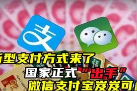 新型支付悄然兴起，总用户数达1.4亿！微信、支付宝地位受到威胁视频封面