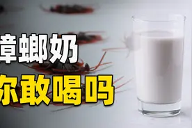 蟑螂奶你喝过吗？营养价值是牛奶的4倍，将来会成为主流饮品吗？视频封面