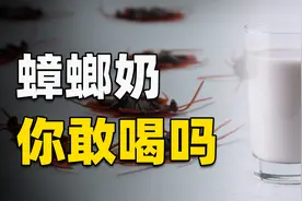 蟑螂奶你喝过吗？营养价值是牛奶的4倍，将来会成为主流饮品吗？视频封面