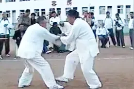 哈尔滨车派形意拳名家杨玉成与刘熙茂在赛场上表演的安身炮对练视频封面