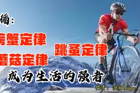遵循：螃蟹定律、蘑菇定律、跳蚤定律，成为生活的强者视频封面