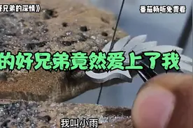 我的好兄弟竟然爱上了我视频封面