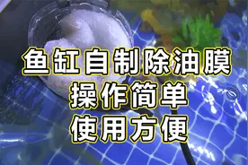 鱼缸自制除油膜装置，废旧的设备，稍加改动也可以发挥新用途