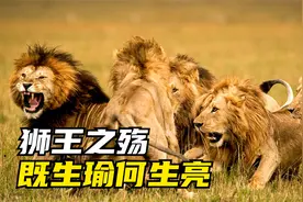 一打三一打四，雄狮C男孩血战杀手联盟 | 狮王纪录片