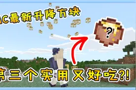 我的世界盘点：MC最新升降方块介绍！第三个不仅实用还好吃？！视频封面