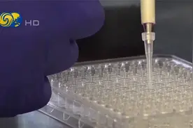 俄称发现美在乌研发生物武器新证据，在乌军人身上测试未注册制剂视频封面