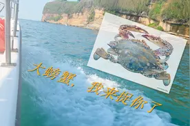 在北海涠洲岛，小情侣花300租船出海打渔，大家猜能回本吗？视频封面