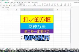 WPS表格中打√的方框，两种方法，第二种一定要学会！@所有人视频封面