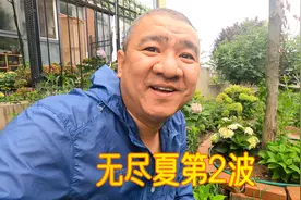 绣球花无尽夏第一波花修剪后，多长时间能开第二波花？视频封面