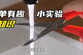 放假孩子在家太无聊，不如带他做这些小实验，既能玩耍又能涨知识视频封面