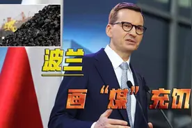 波兰人专坑波兰人，煤炭掺假假到离谱，一场大雨都现原形视频封面