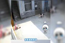 7个月宝宝意外摔倒，刚做手术的妈妈去救也摔倒，事后还自扇耳光视频封面