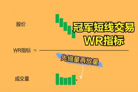 冠军短线交易，WR指标，资金异动视频封面