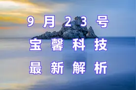 宝馨科技：主力资金最新情况，如何判断低吸信号？视频封面