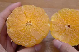 可以吸着吃的“果冻橙”，1斤市场售价在7元左右视频封面