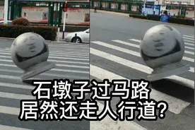 石墩子过马路，居然还会走人行道？蓝V号也不靠谱视频封面