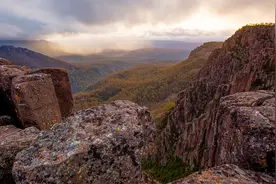 【放松轻音乐】竹深树密虫鸣处，时有微凉不是风视频封面