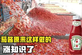见识下机械化农业，从地里到成品番茄酱的制造过程，几乎零人工视频封面