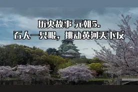 历史故事 元朝5. 石人一只眼，挑动黄河天下反视频封面