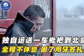 货车司机独自运送枇杷，全程2000公里不休息，困了用牙签扎自己！视频封面